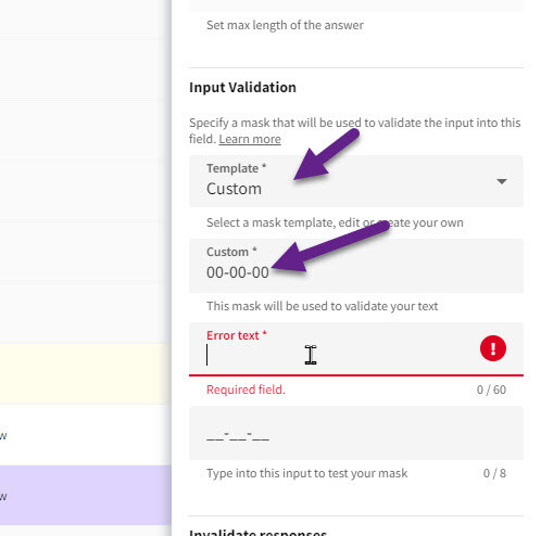 Input Validation - Masking Data