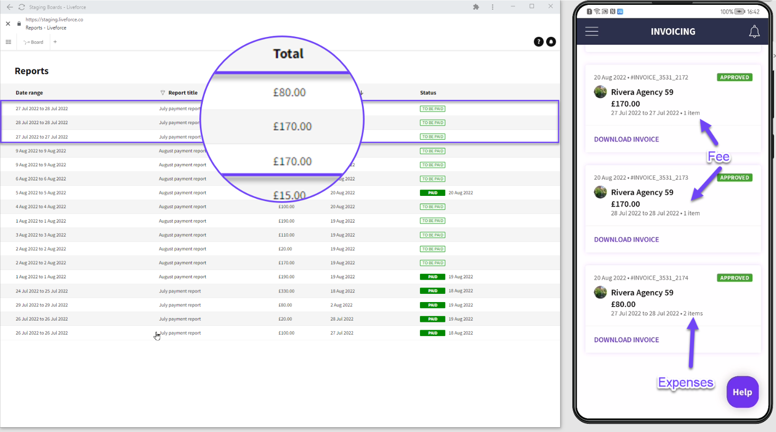 Reports and Payment Statuses